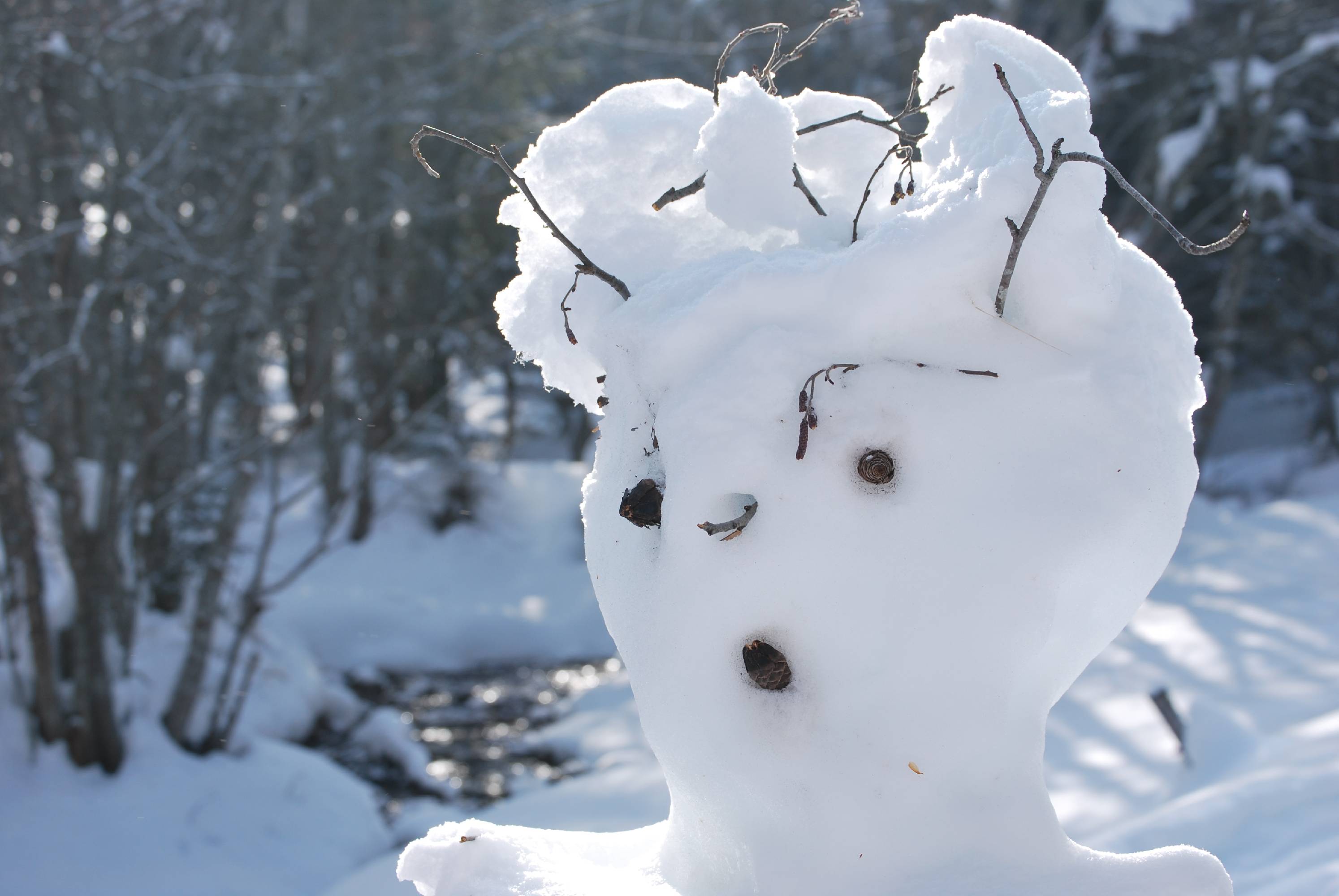 ORIG15-Bonhomme-de-Neige au Glandon-de-Patricia-Devos.JPG