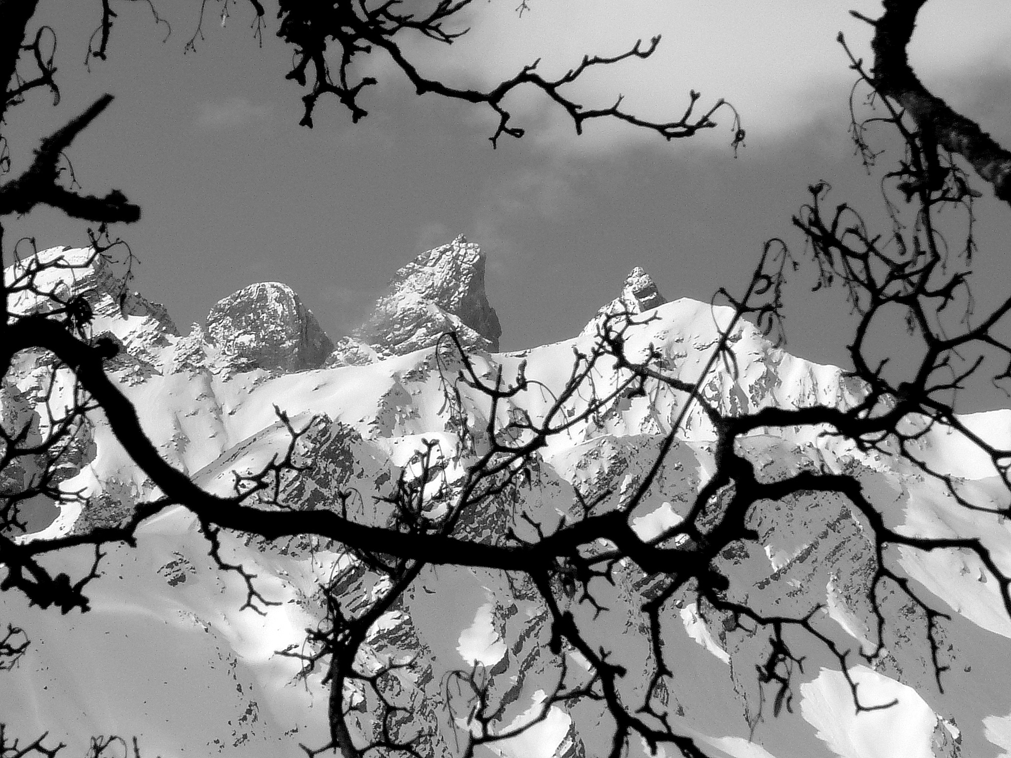 MTNB05-les-aiguilles d'Arves-depuis-Bonnenuit-Valloire-de-Nathalie-Brivet.JPG