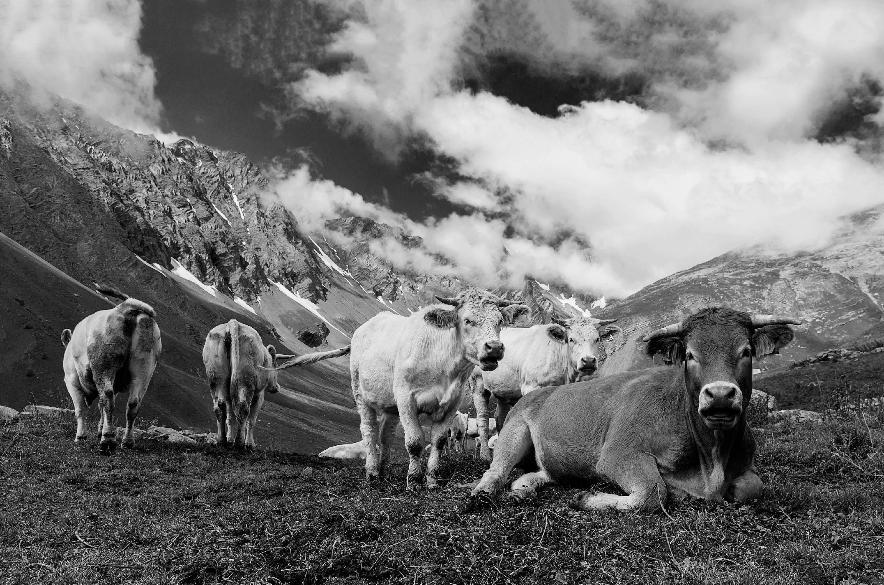 MTNB25-Vallon-des-aiguilles-a-Valloire-de-Jean-Claude-Suhr.jpg