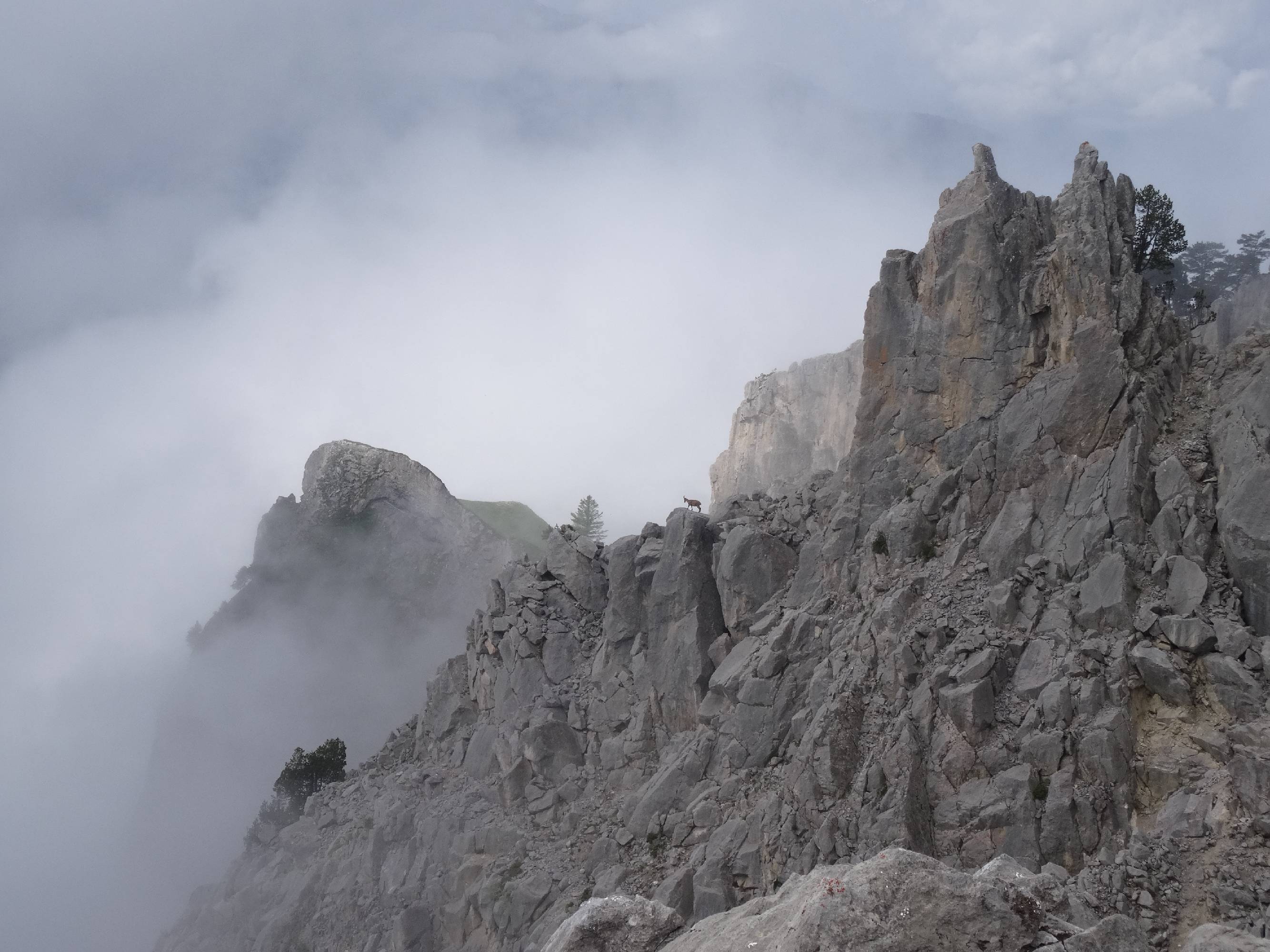 CA02-A-la-croix-des-tetes-St-Julien-MontDenis-de-Melina-Diot.JPG