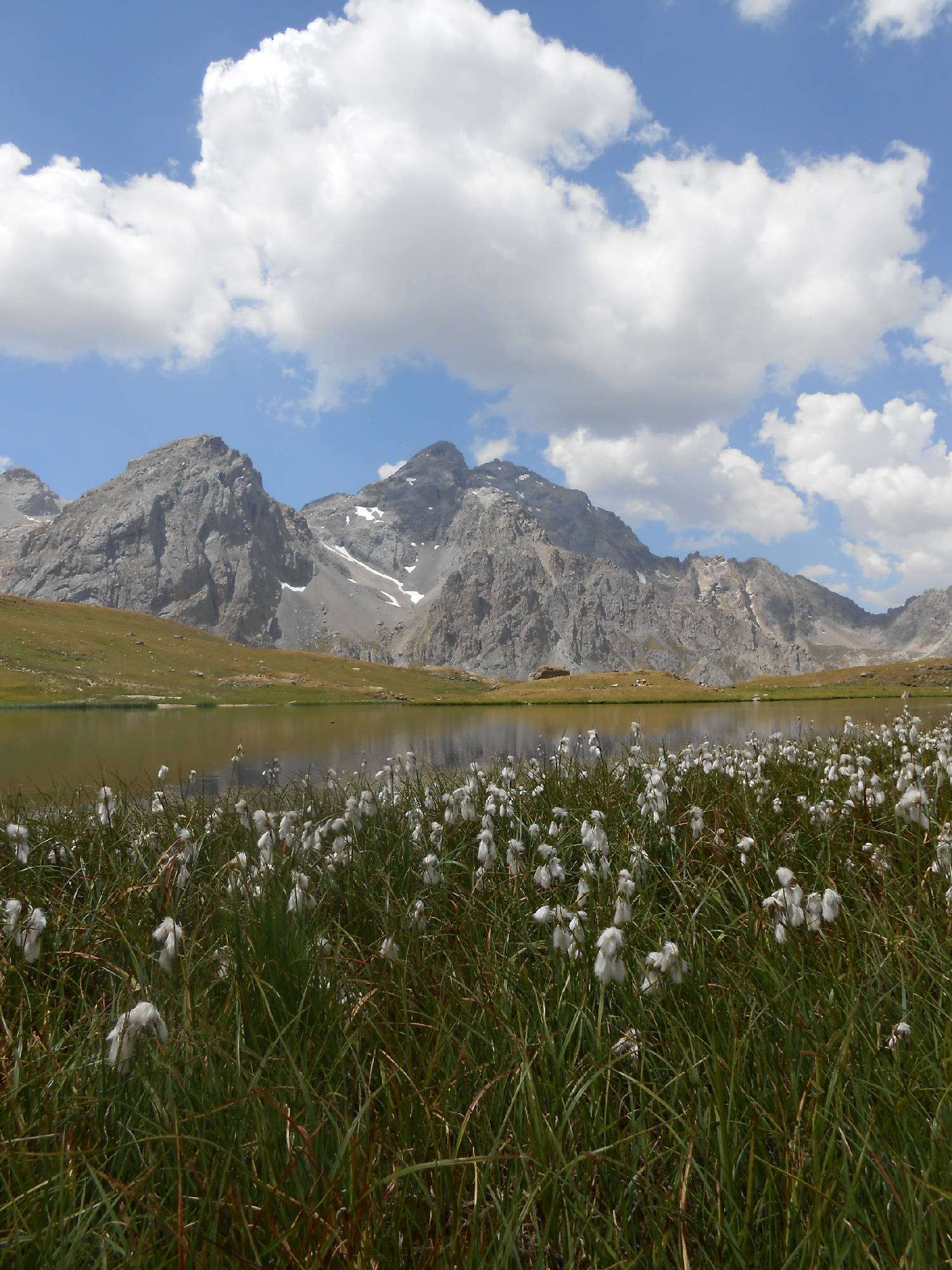 FM24-linaigrettes-au-Lac-des-Cerces-avec-Grand-Galibier-de-eric-Vaubourdolle.JPG