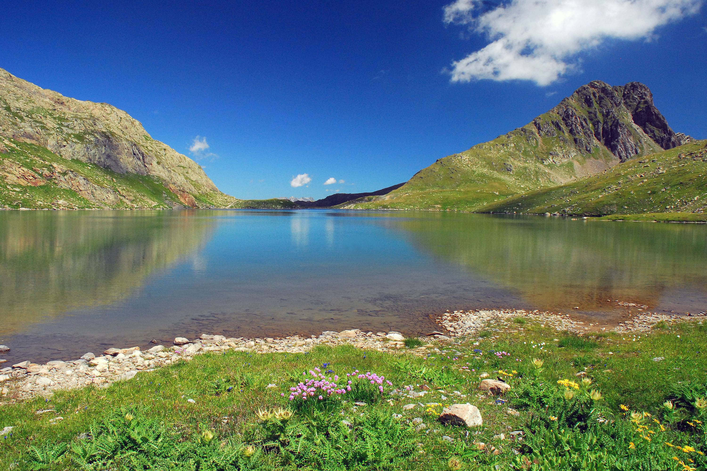 FM28-Fleurs-au-Lac Blanc-Etendard-de-Gilles-Parigot.JPG