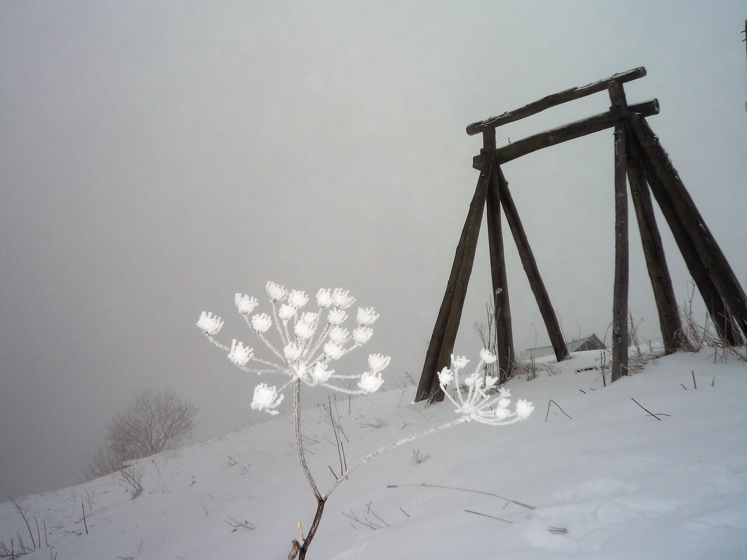 FM38-Fleur-de-givre-de-Michel-Cuinat.JPG