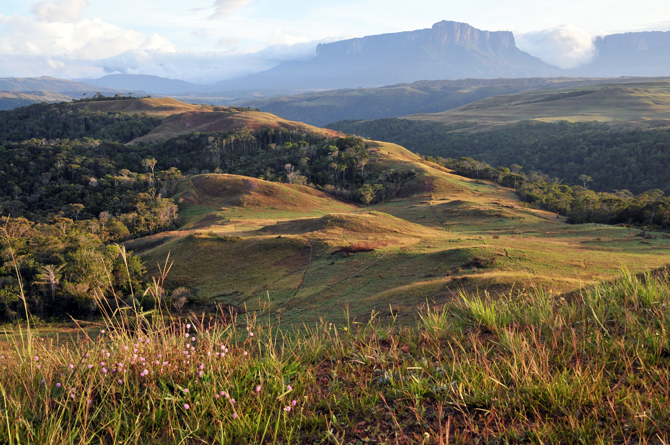 MA22-Tepuyes-Venezuela-de-Gilles-Parigot.JPG