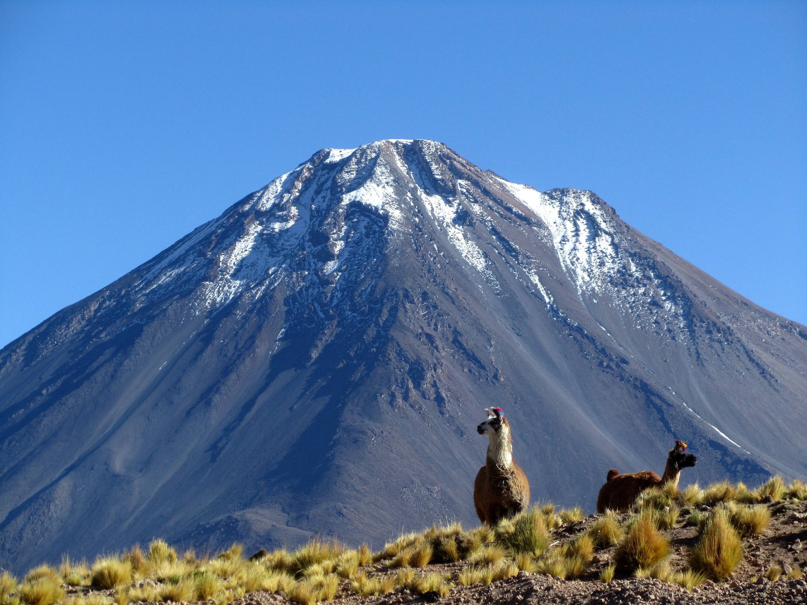 MA28-Au-pied-du-Licancabur-Chili-de-Guillaume-Michaud.JPG