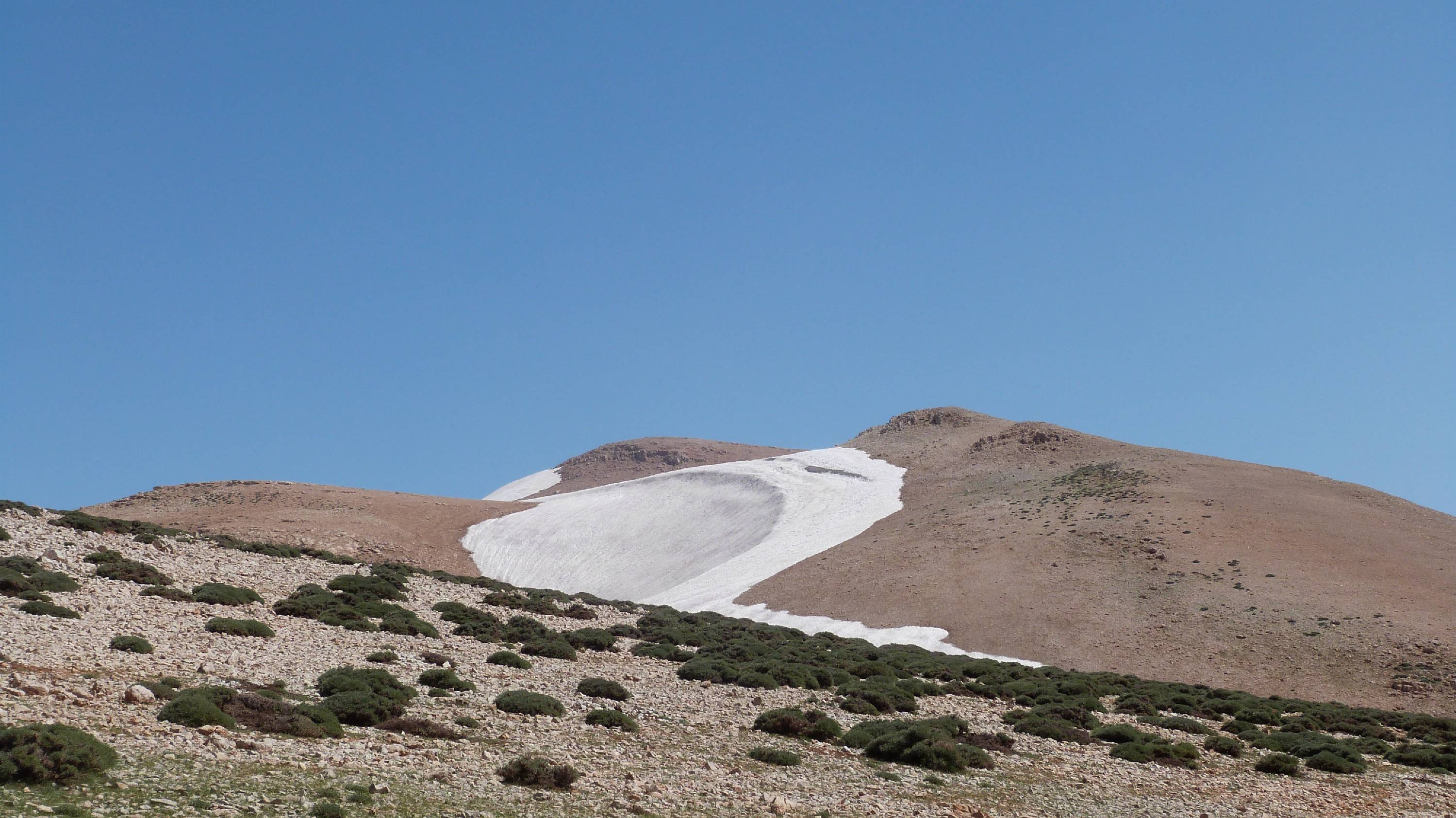 MA33-Mont-Liban-de-Bernard-Canac.JPG