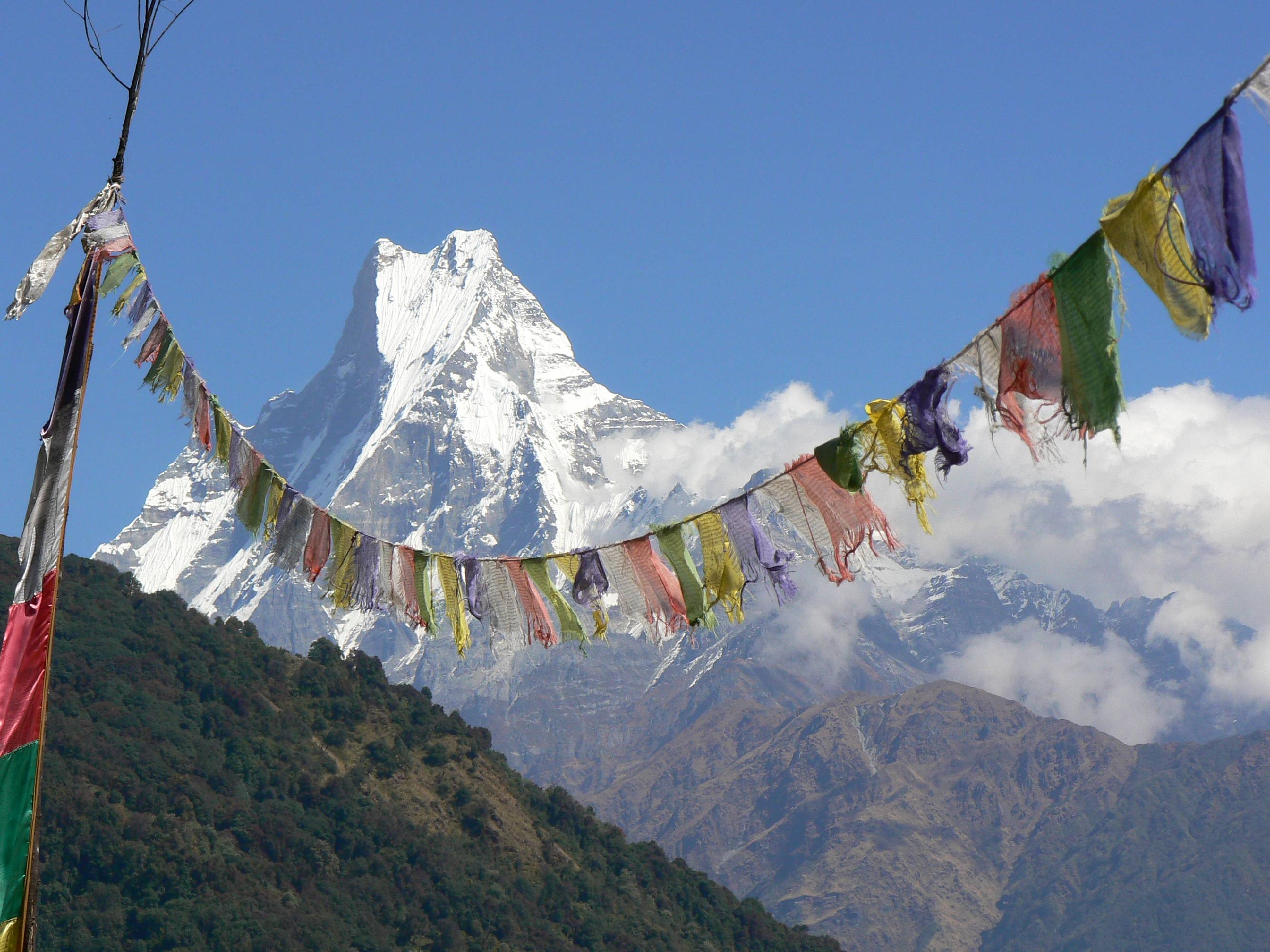 MA43-Machapuchare-Nepal-de-Dominique-Didier-Laurent.JPG