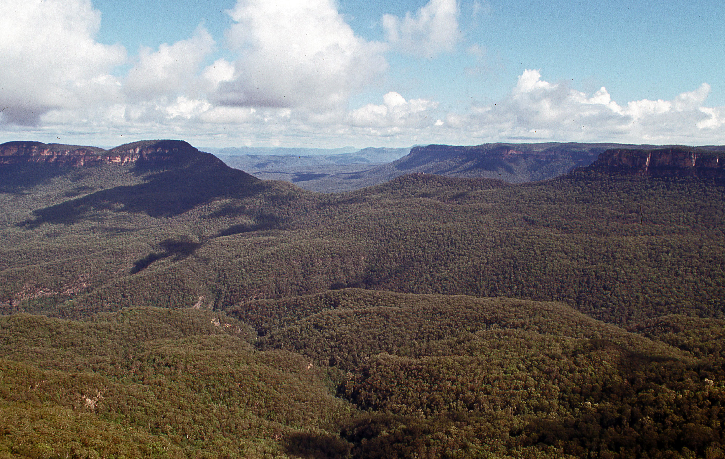 MA46-Blue Mountains-Sydney-Australie-de-Michel-Schillings.jpg
