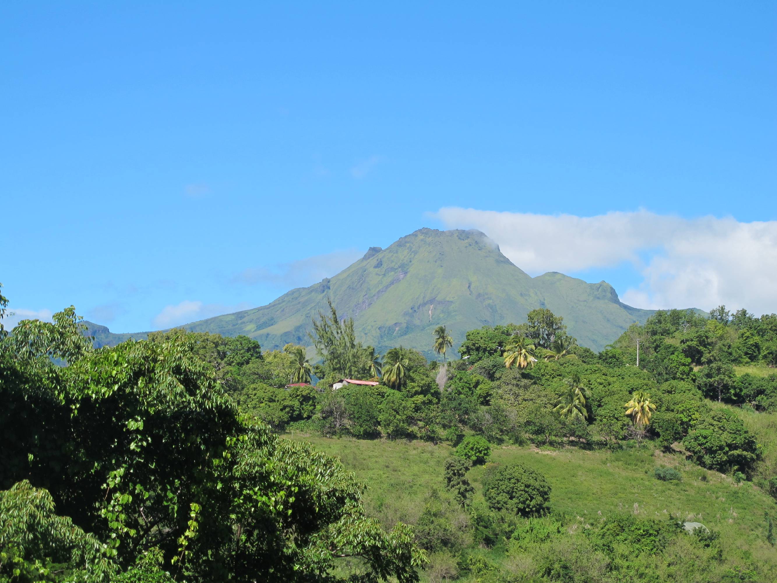 MA50-Montagne-Pelee-ile-de-la-Martinique-de-Laure-Chaignon.JPG